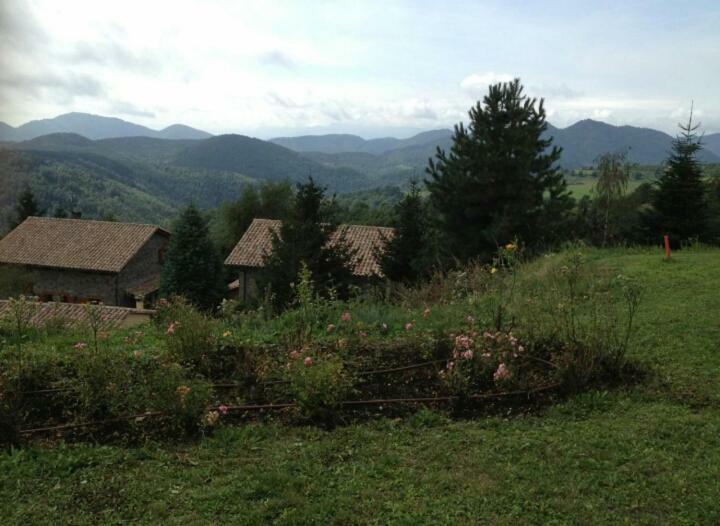 Casa Rural Mollo, Vall De Camprodon Eksteriør billede