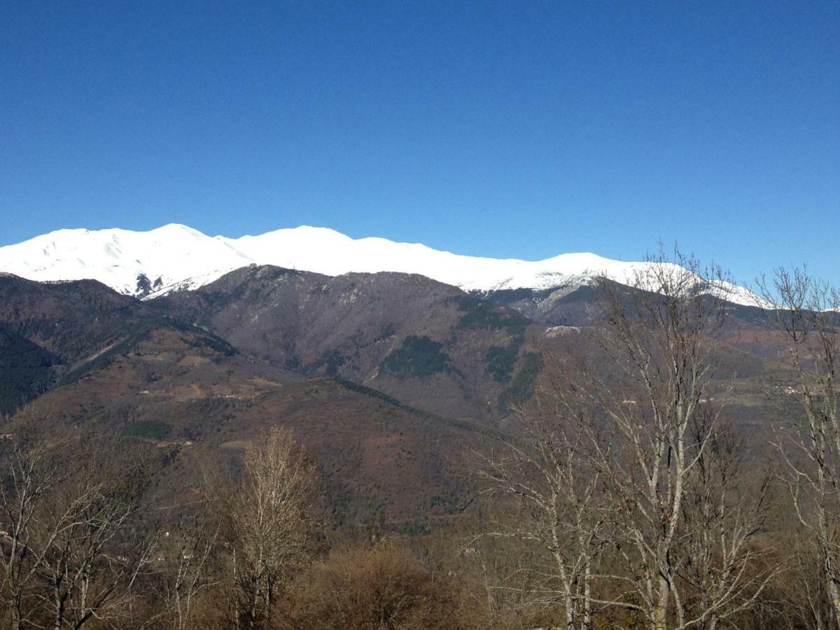 Casa Rural Mollo, Vall De Camprodon Eksteriør billede